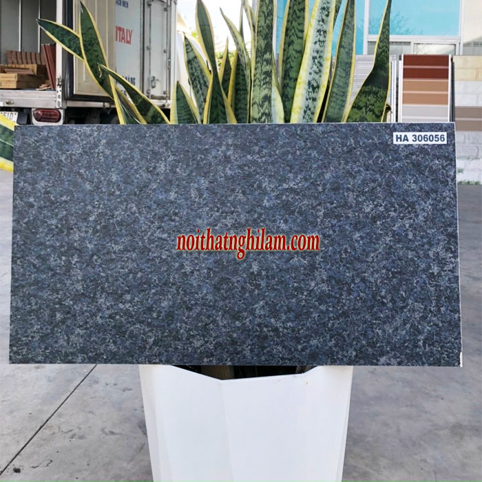 Gạch lát sân 30*60 Granite CP-HA306056