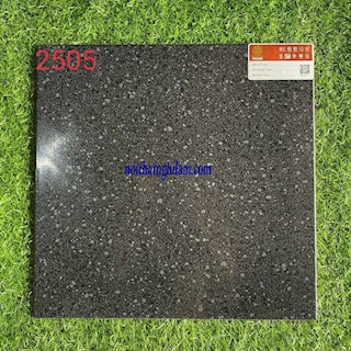 Gạch Prime  40x40 Ce2505