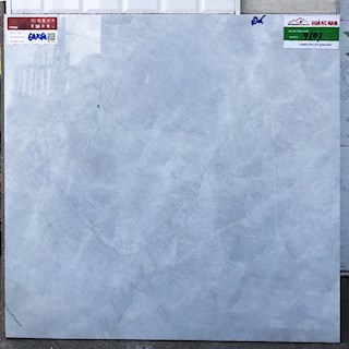 Gạch Prime bóng kính 60x60 9101