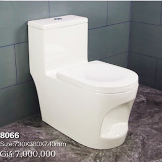 Bồn cầu khối Napolon 8066