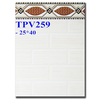 Gạch ốp tường 25x40 TPV259