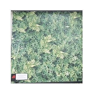 Gạch cỏ lát sân Đồng Tâm 4040 Greenery001