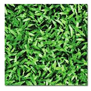 Gạch cỏ lát sân Đồng Tâm 4040 CLG001